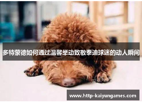 多特蒙德如何通过温馨举动致敬泰迪球迷的动人瞬间