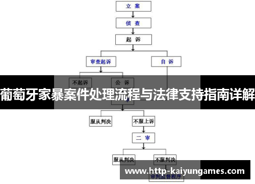 葡萄牙家暴案件处理流程与法律支持指南详解